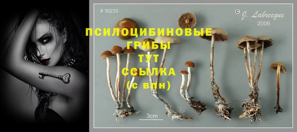 2c-b Волосово