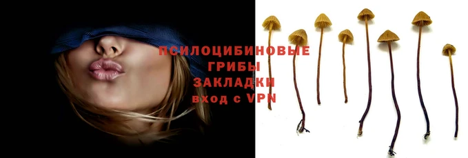 марихуана Вяземский