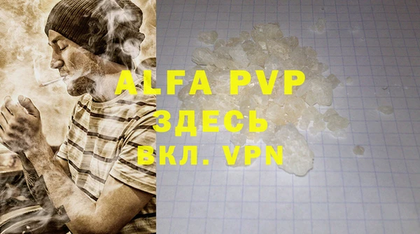 индика Вязники