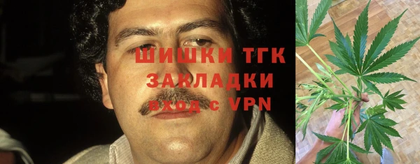 меф Горняк
