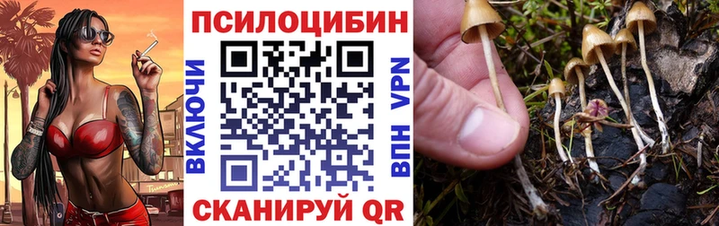 как найти hydra как войти Псилоцибиновые грибы GOLDEN TEACHER Дмитровск